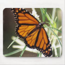Search for monarch mousepads Nature