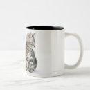 Search for american shorthair cat mugs Baby animals
