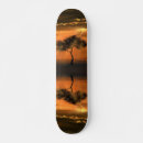 Search for collection skateboards Orange
