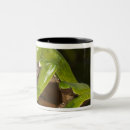 Search for bicolor mugs Iwokrama reserve