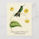 Search for brilliant postcards Nature