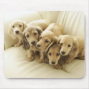Search for sofa mousepads Togetherness