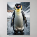 Search for emperor posters Penguin