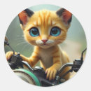 Search for big eye stickers Cat