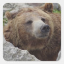 Search for grizzlies stickers Portrait