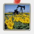 Search for concepts christmas tree decorations Flower
