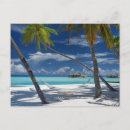 Search for indian ocean postcards Palm tree