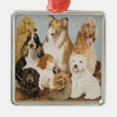 Search for golden retriever christmas tree decorations Pet