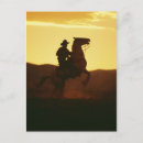 Search for mustangs vertical postcards Horses