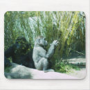 Search for great ape electronics Baby