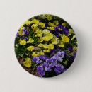 Search for yellow pansy badges Nature