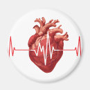 Search for anatomy magnets Cardiology
