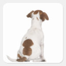 Search for jack russell terrier puppy stickers Animal