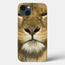 Search for 3 lions electronics Panthera leo