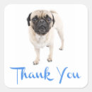 Search for pug puppy stickers Thank you
