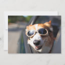 Search for goggle cards Cute