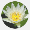 Search for white water stickers Flower