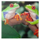Search for costa rica tiles Green