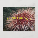 Search for giant postcards Red