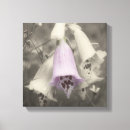 Search for black and white flowers canvas prints Vintage