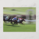 Search for horse sports postcards Competition