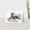 Search for greyhound cards Pets