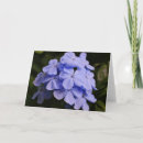 Search for lavender bouquet cards Blue