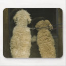 Search for door mousepads Window