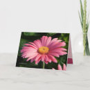 Search for sweetheart birthday cards Flower
