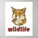 Search for cute red fox posters Foxes