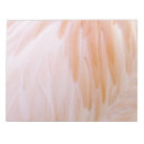 Search for flamingo notepads Pink