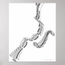 Search for shape note posters Illustration