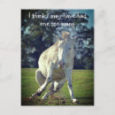 Search for pony postcards New forest pony
