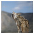 Search for selective focus tiles Wildlife