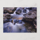 Search for creek fall Chuck haney
