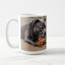Search for staffy mugs Pet