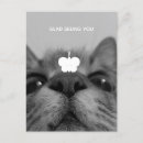 Search for kittis postcards Pet