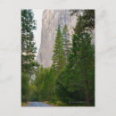 Search for yosemite national park postcards Outdoors
