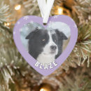 Search for border collie gifts Dog