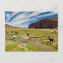 Search for andes mountain postcards Landscape