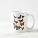 Search for plate mugs Moth