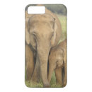 Search for one animal electronics Care