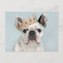 Search for purebred postcards Pets