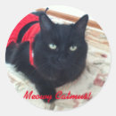 Search for featuring stickers Cat