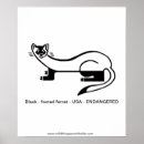 Search for ferret art posters Wildlife