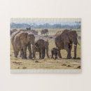 Search for elephant family puzzles Animals