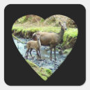 Search for red deer stickers Wildlife