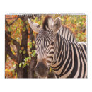Search for africa calendars Animals