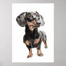 Search for sausage dog posters Animal