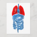 Search for guts postcards Duodenum